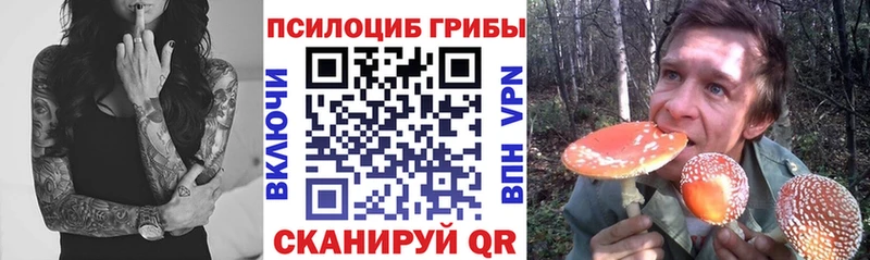 Псилоцибиновые грибы Magic Shrooms  Купить  Вяземский 
